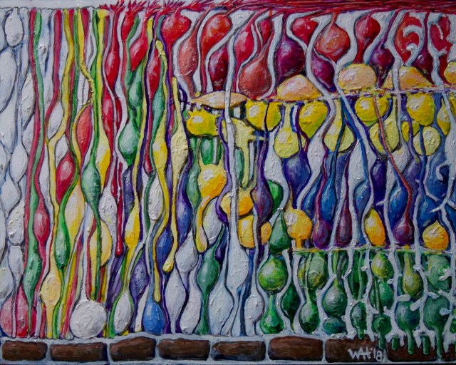 Mark Charlton-Perkins